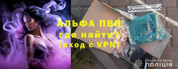 ПСИЛОЦИБИНОВЫЕ ГРИБЫ Вязьма